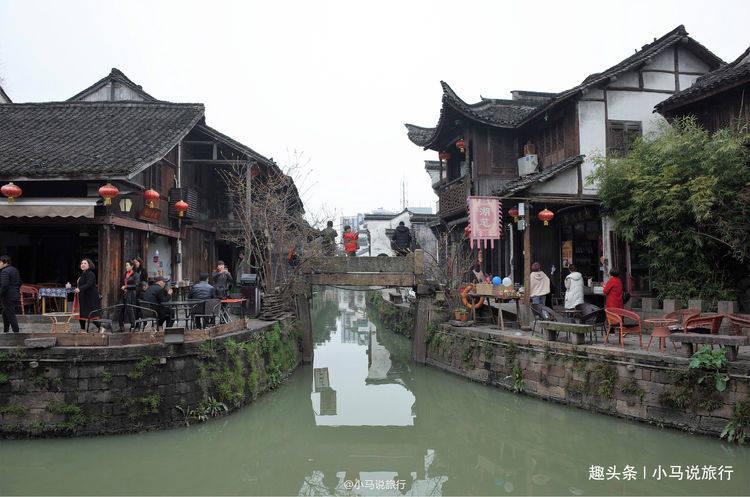 逃离金色蜜蜂森林